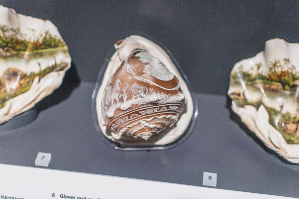 National-Museum-of-Scotland-Edinburgh (19)