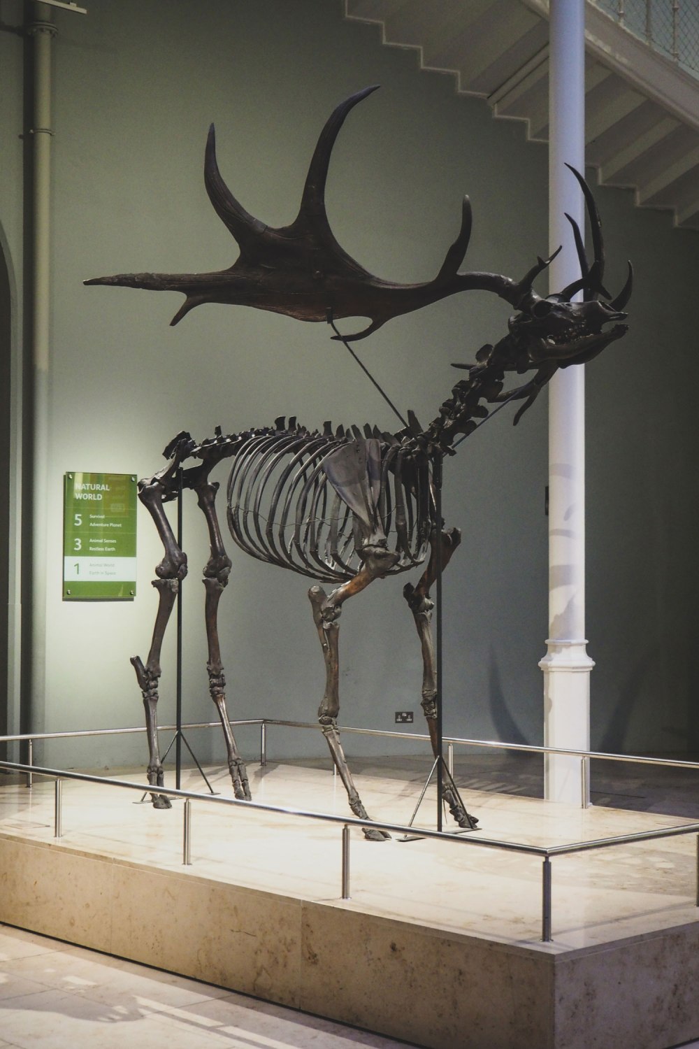 National-Museum-of-Scotland-Edinburgh (3)