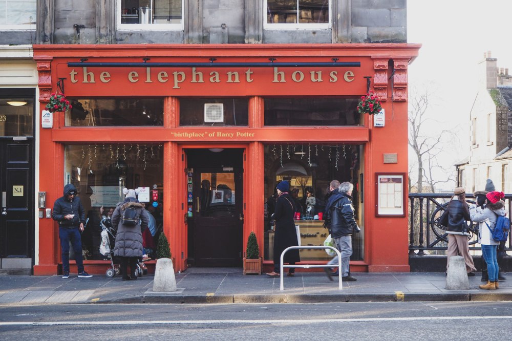 The-Elephant-House-Edinburgh (1)