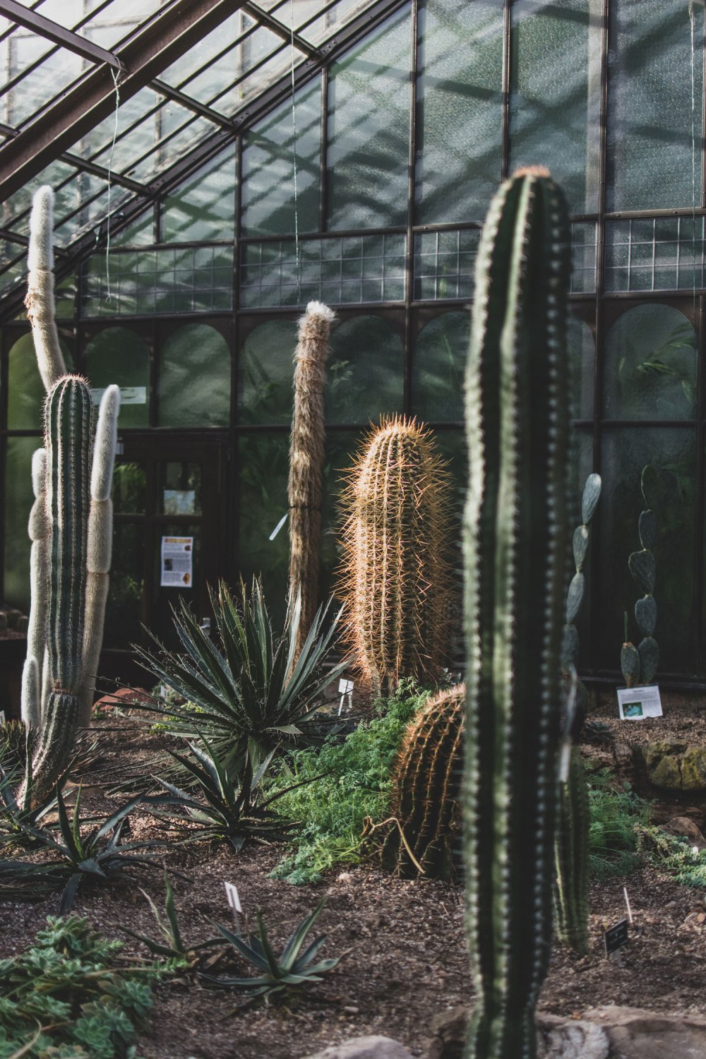 Glasgow-Botanic-Gardens (23)