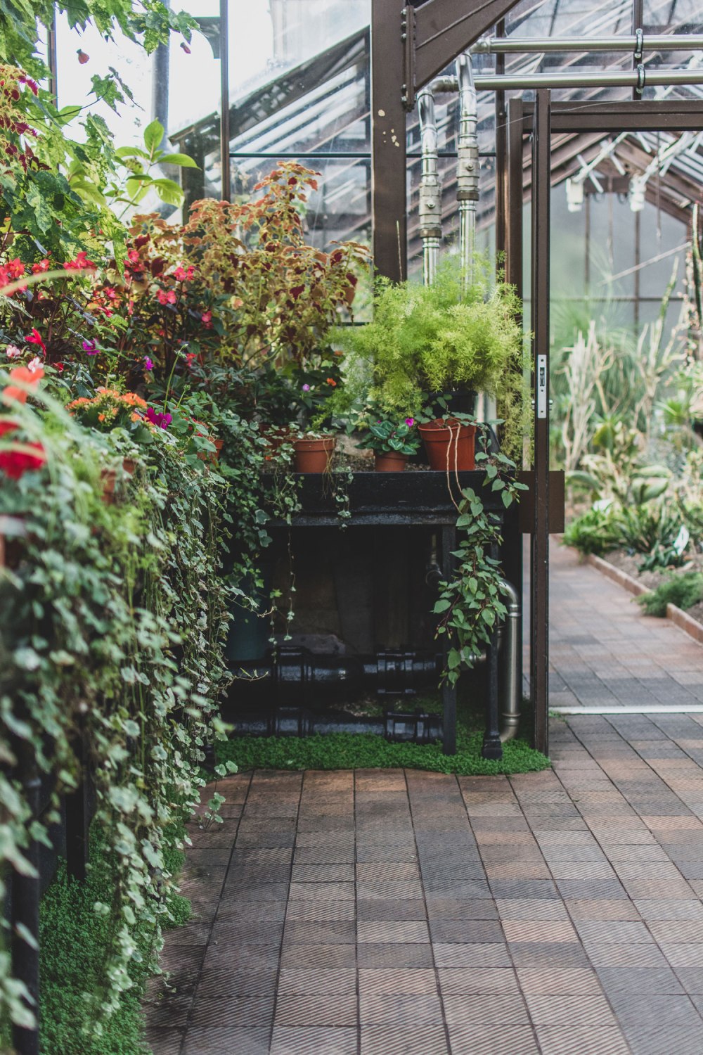 Glasgow-Botanic-Gardens (4)