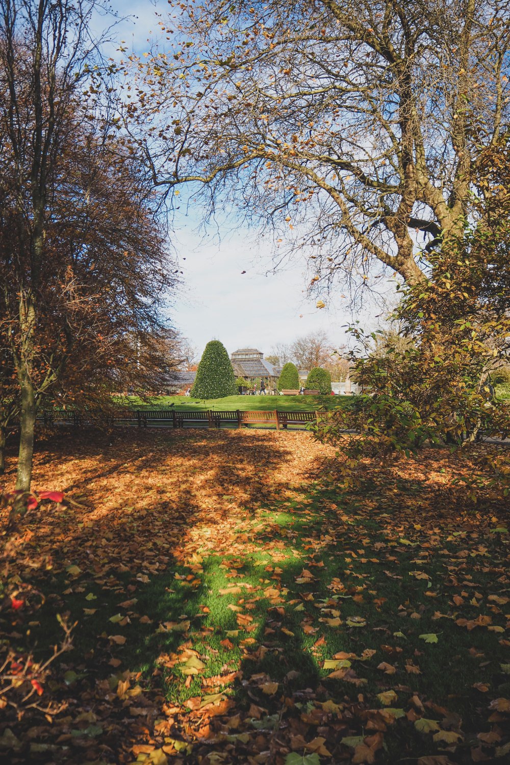 Glasgow-Botanic-Gardens (4).jpg