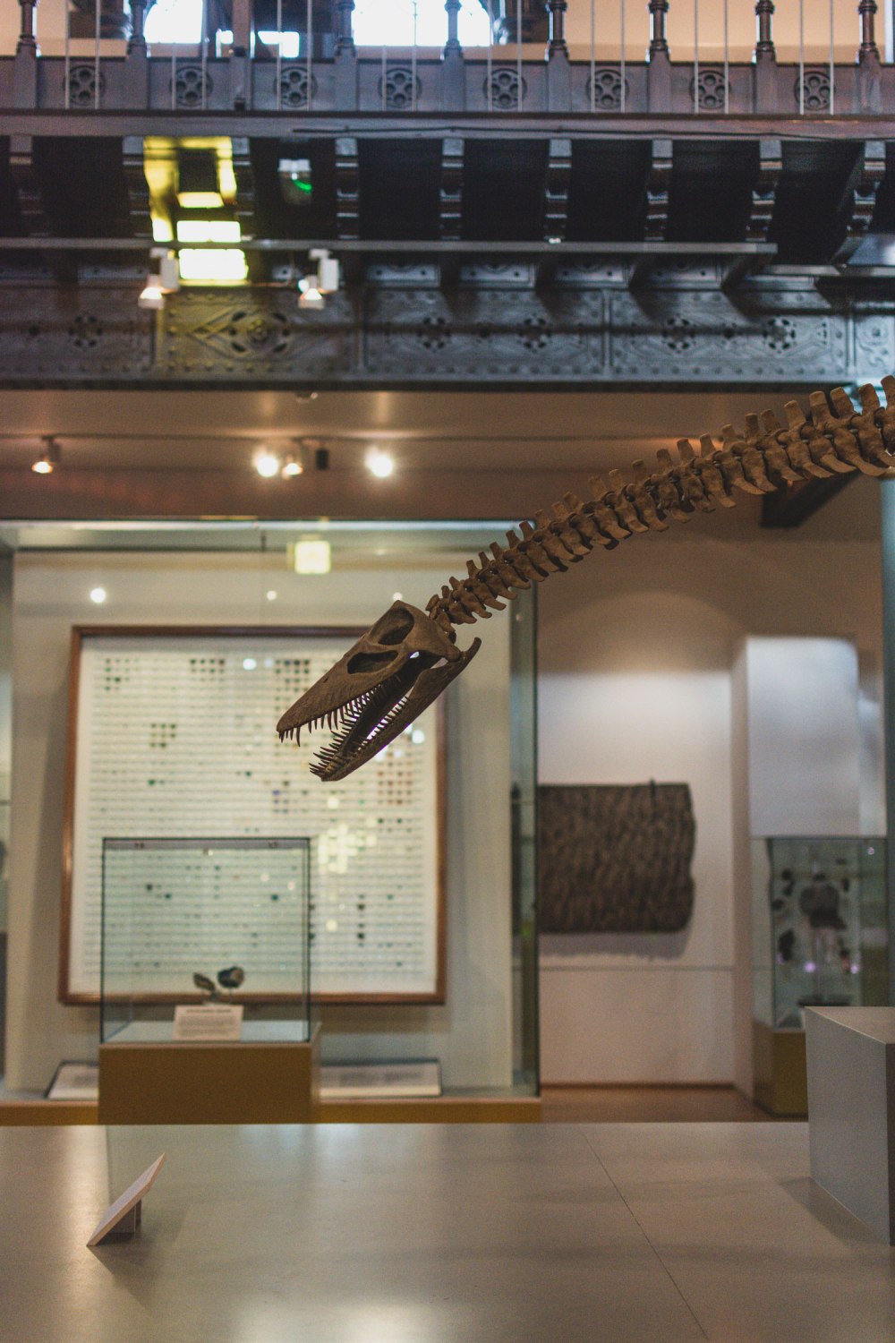 Hunterian-Museum-Glasgow (17)