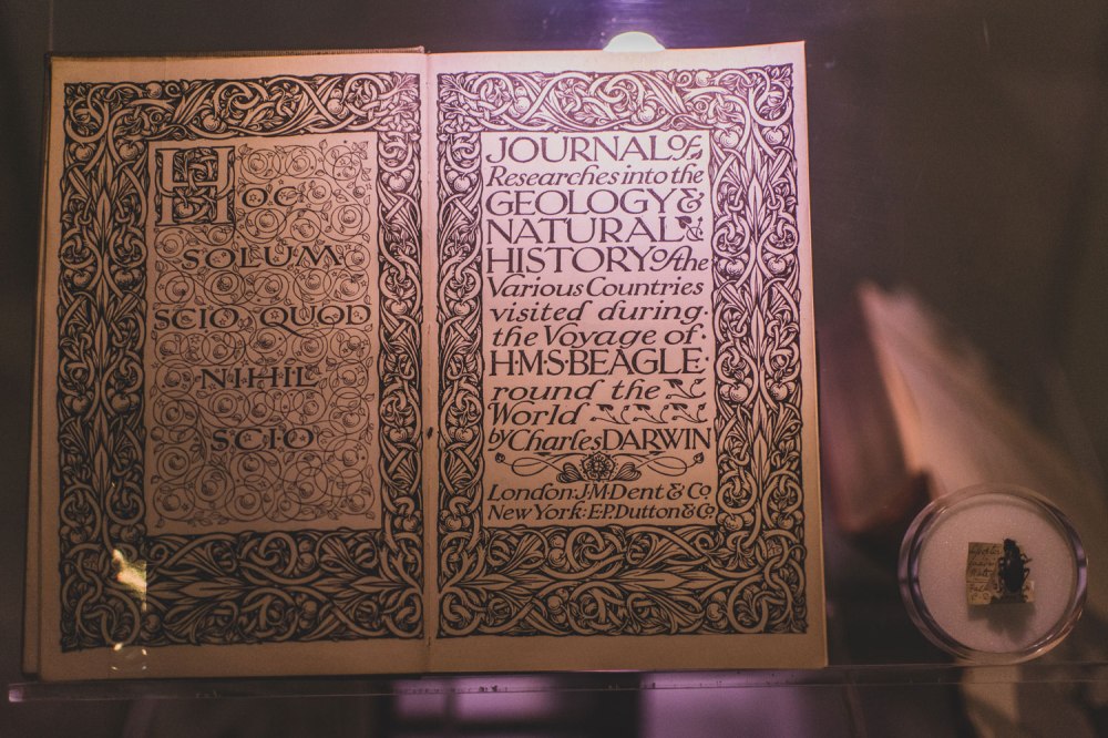 Hunterian-Museum-Glasgow (20)