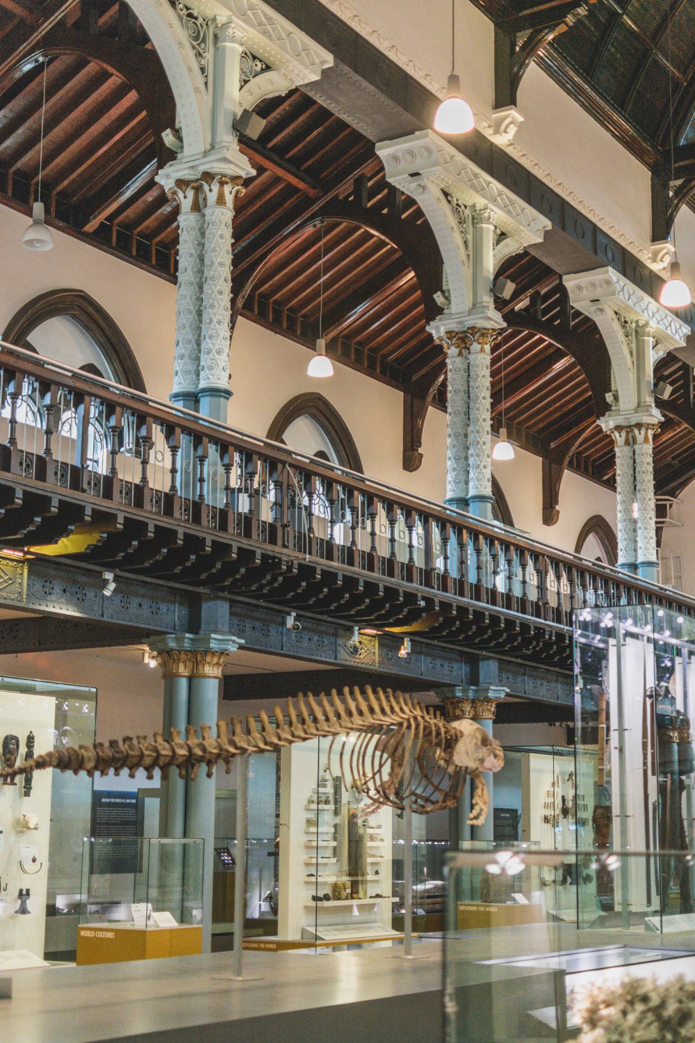 Hunterian-Museum-Glasgow (22)