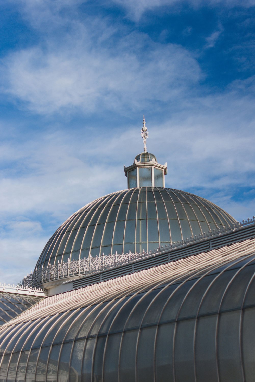 Kibble-Palace-Glasgow-Botanic-Gardens (2)