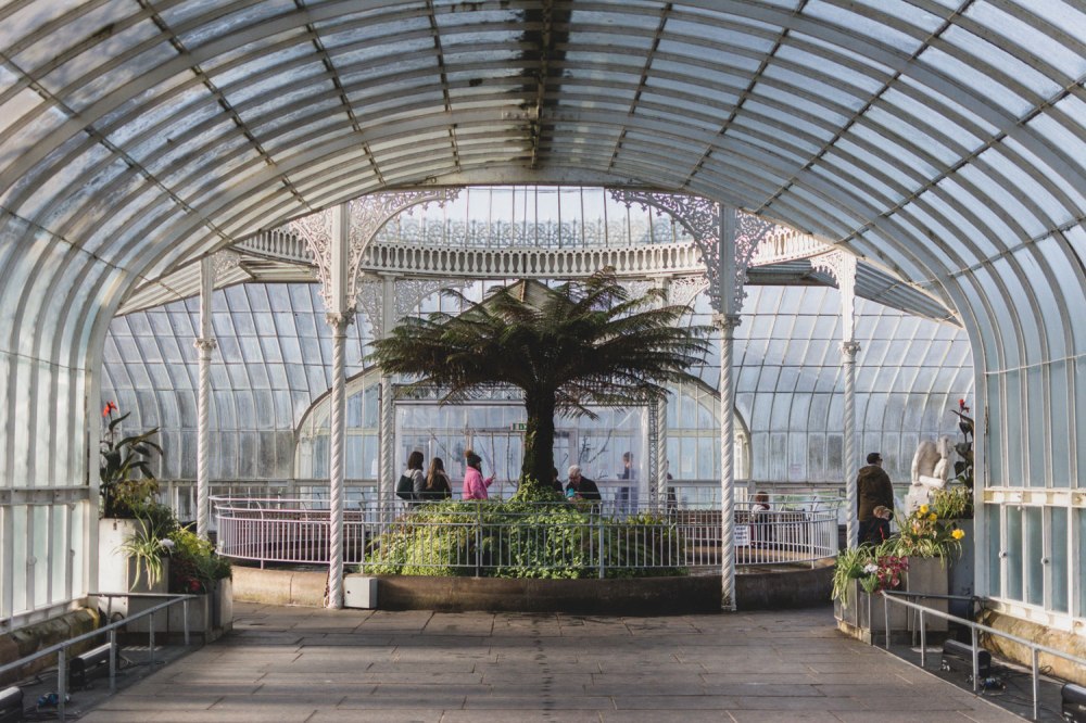 Kibble-Palace-Glasgow-Botanic-Gardens (26)
