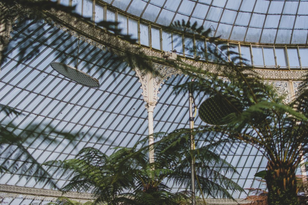 Kibble-Palace-Glasgow-Botanic-Gardens (31)