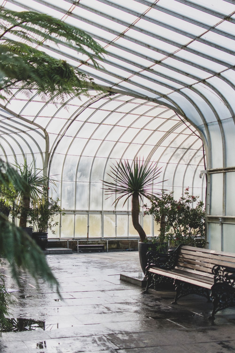 Kibble-Palace-Glasgow-Botanic-Gardens (7)