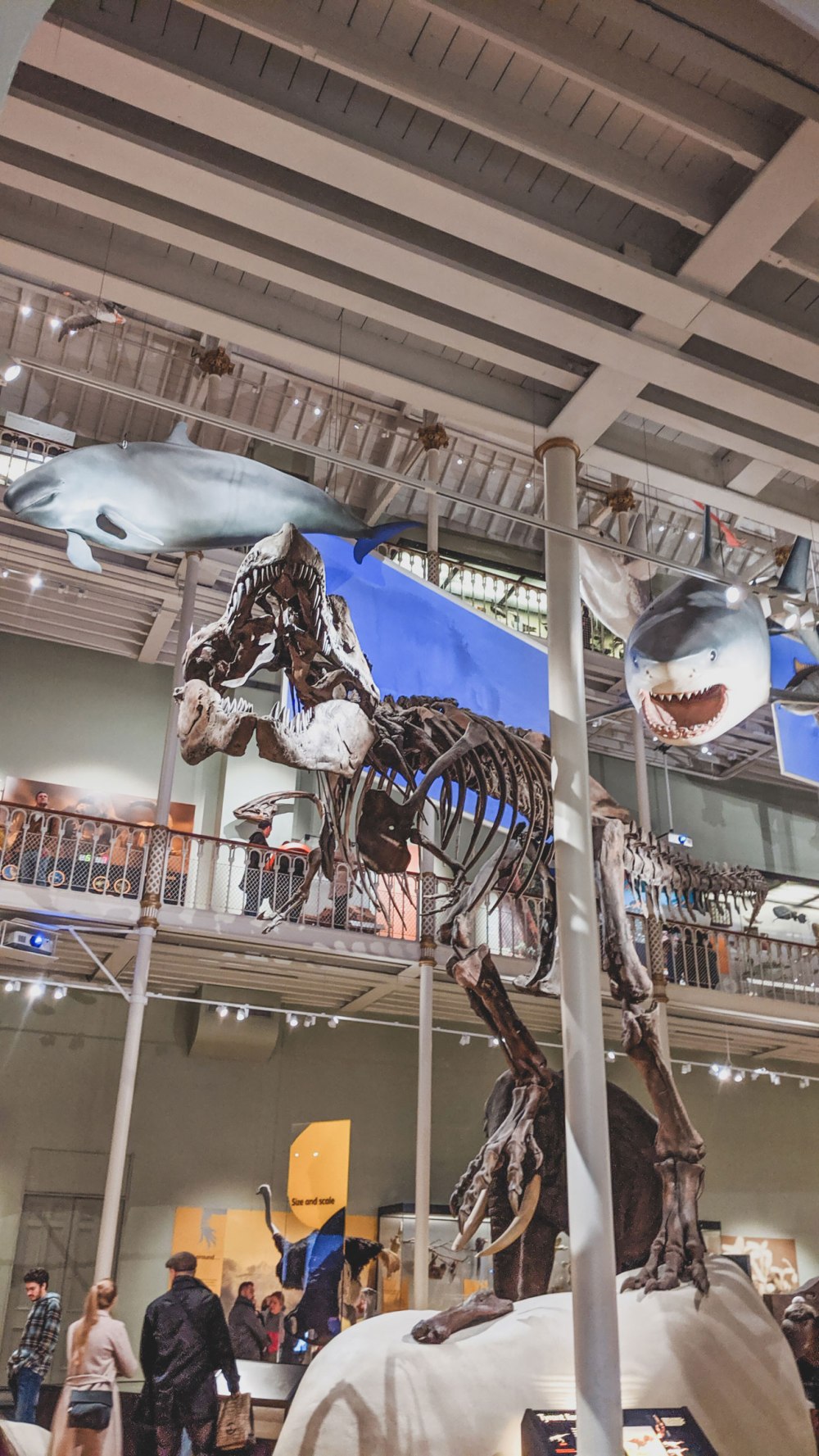 MVIMG_20191109_160818