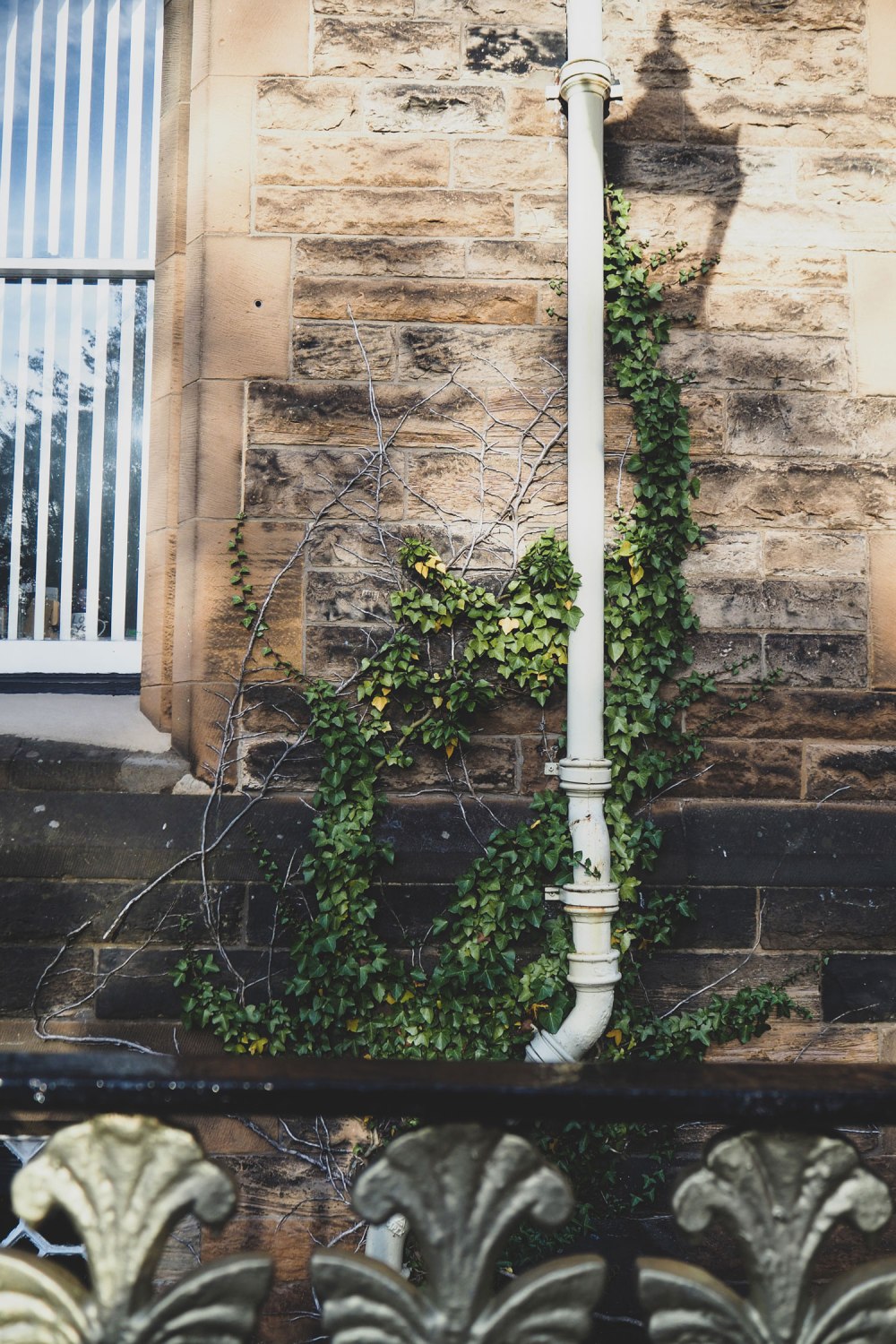 University-of-Glasgow (4)