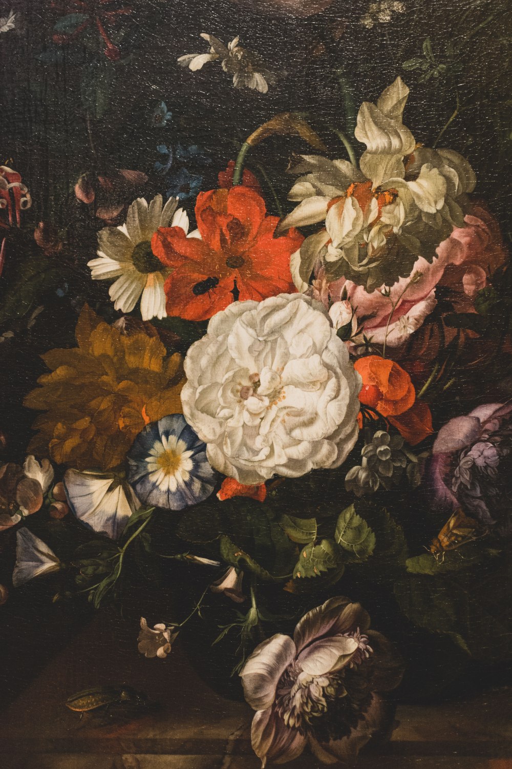 Kelvingrove-Art-Gallery-and-Museum-Glasgow (14)