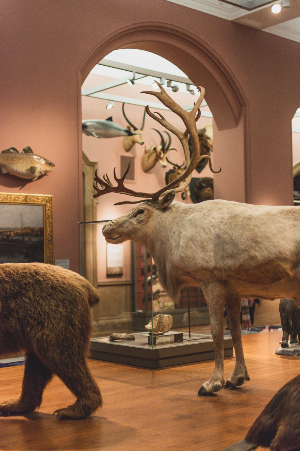 Kelvingrove-Art-Gallery-and-Museum-Glasgow (36)