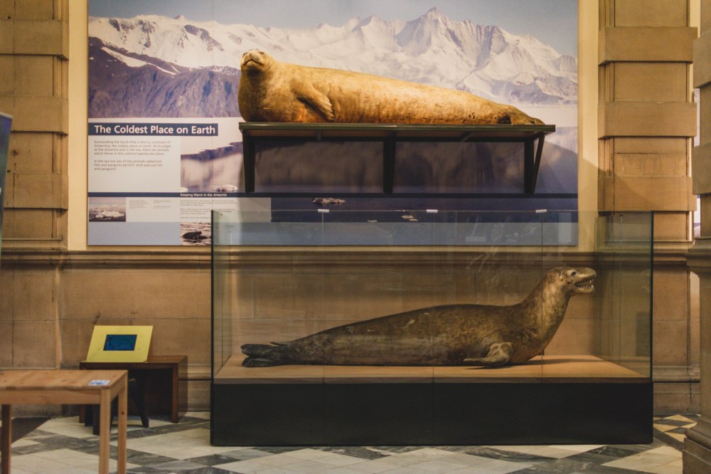 Kelvingrove-Art-Gallery-and-Museum-Glasgow (44)