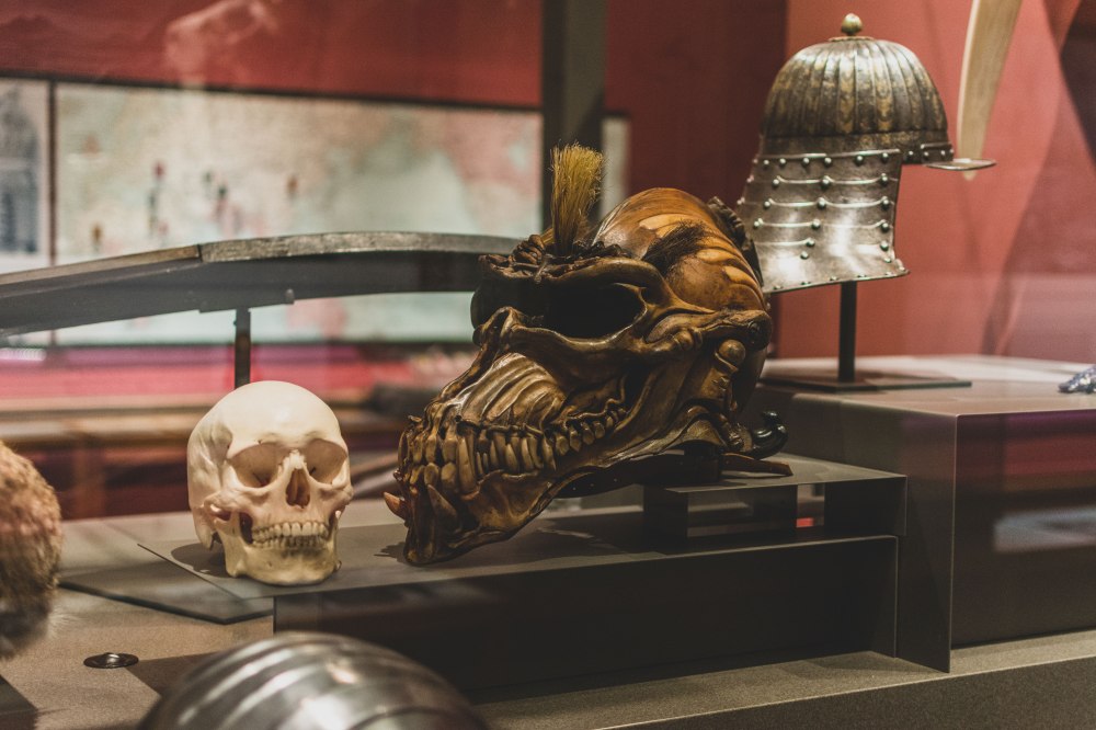 Kelvingrove-Art-Gallery-and-Museum-Glasgow (75)